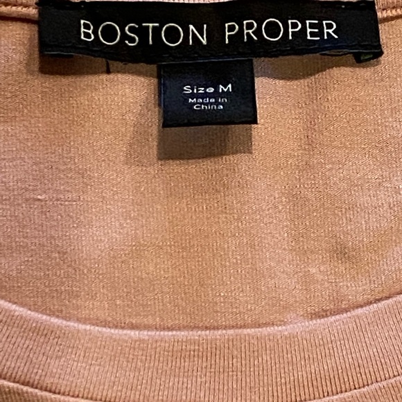 NWOT Boston Proper Chiffon Overlay Long Sleeve Top (M) - DUSTY ROSE COLOR - Picture 5 of 7